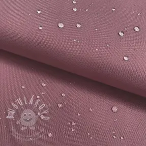 Kočárkovina mauve
