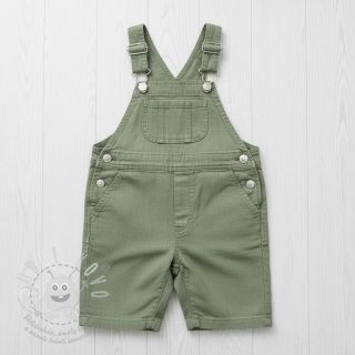 Len předepraný old green