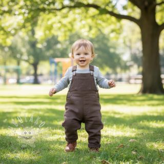 Len předepraný stone