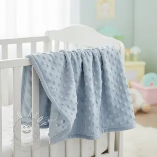 Minky baby blue