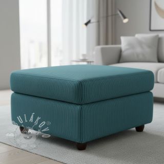 Manšestr FUTE canard