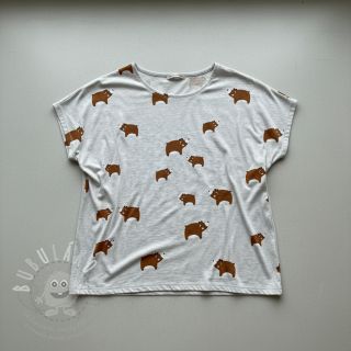 Úplet Bears light sand melange