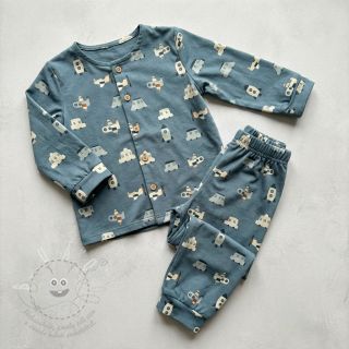 Bavlněná látka Vehicles petrol