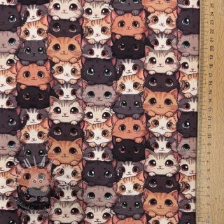 Úplet Cats digital print