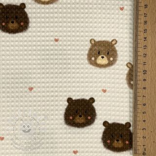 Bavlna s vaflovou vazbou Bears digital print