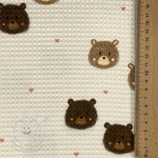 Bavlna s vaflovou vazbou Bears digital print
