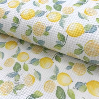 Bavlna s vaflovou vazbou Lemons digital print