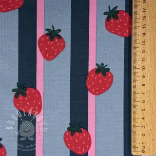 Úplet Fruits Strawberry petrol