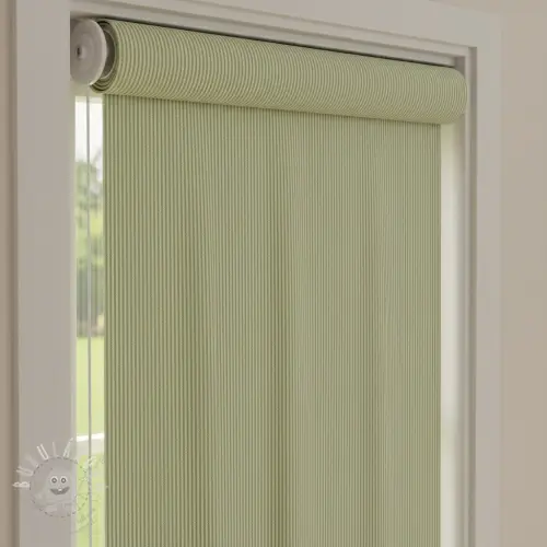 Dekorační látka DOBBY Colored stripe light green