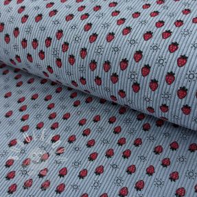 Manšestr STRETCH Little strawberries old blue