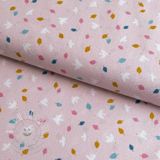 Bavlněná látka Little birds powder