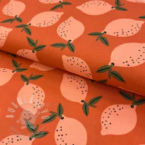 Dekorační látka Fruits design F