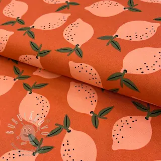 Dekorační látka Fruits design F