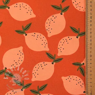 Dekorační látka Fruits design F