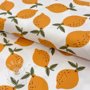Dekorační látka Fruits design E