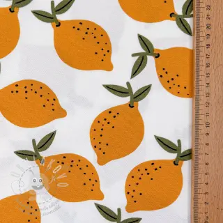 Dekorační látka Fruits design E