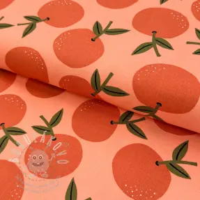 Dekorační látka Fruits design D