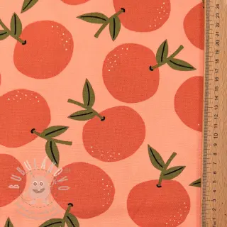 Dekorační látka Fruits design D