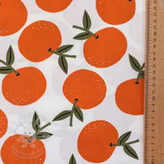 Dekorační látka Fruits design C