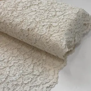Krajka Scallop off white