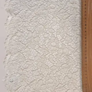 Krajka Scallop off white