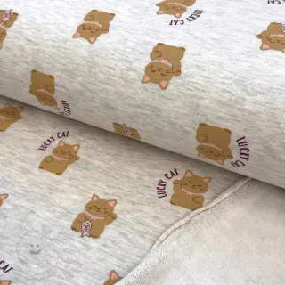 Teplákovina počesaná Lucky cat off white melange