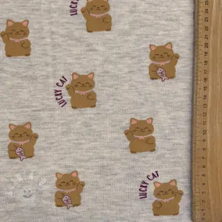 Teplákovina počesaná Lucky cat off white melange