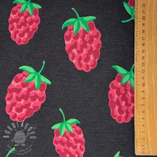 Úplet Raspberries navy melange