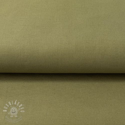 CANVAS olive