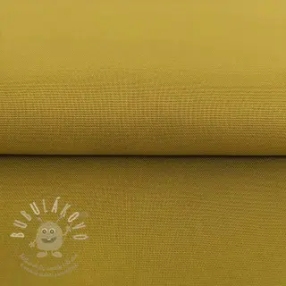 CANVAS curry