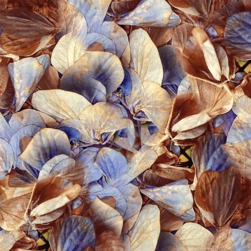 Levně Viskóza RADIANCE Dry flowers aqua digital print