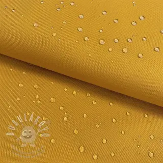 Kočárkovina ochre