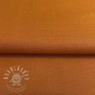 CANVAS rust
