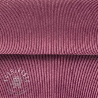 Manšestr berry