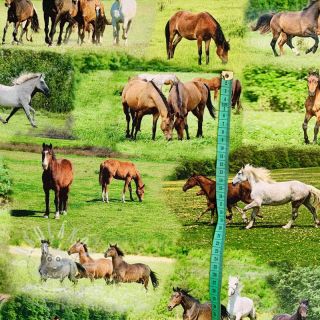 Dekorační látka Horses in Meadow digital print