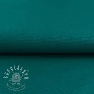 CANVAS dark cyan
