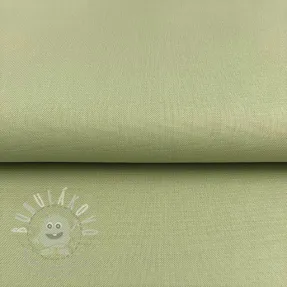 CANVAS dark mint