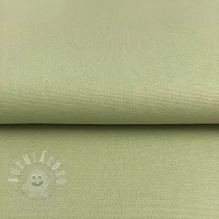 CANVAS dark mint