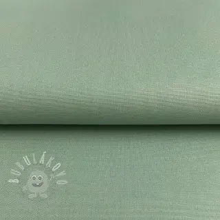 CANVAS old green