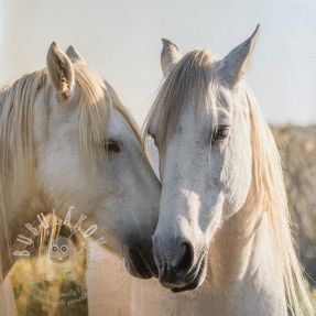 Umělá kůže KARIA Horse love PANEL