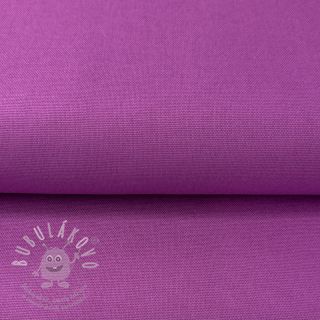 CANVAS violet