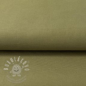 CANVAS olive