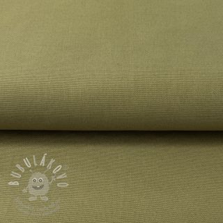 CANVAS olive