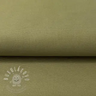 CANVAS olive