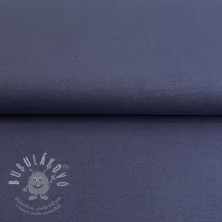 CANVAS dusty blue