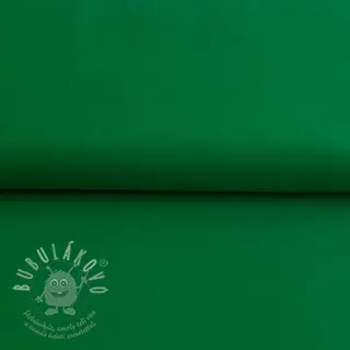 CANVAS green