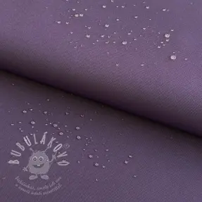Kočárkovina violet