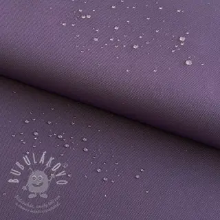 Kočárkovina violet