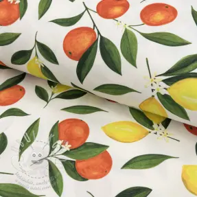 Dekorační látka s teflonovou úpravou Citrus Fruit