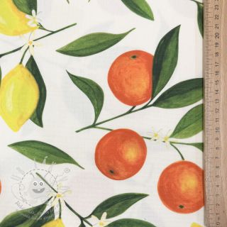 Dekorační látka s teflonovou úpravou Citrus Fruit